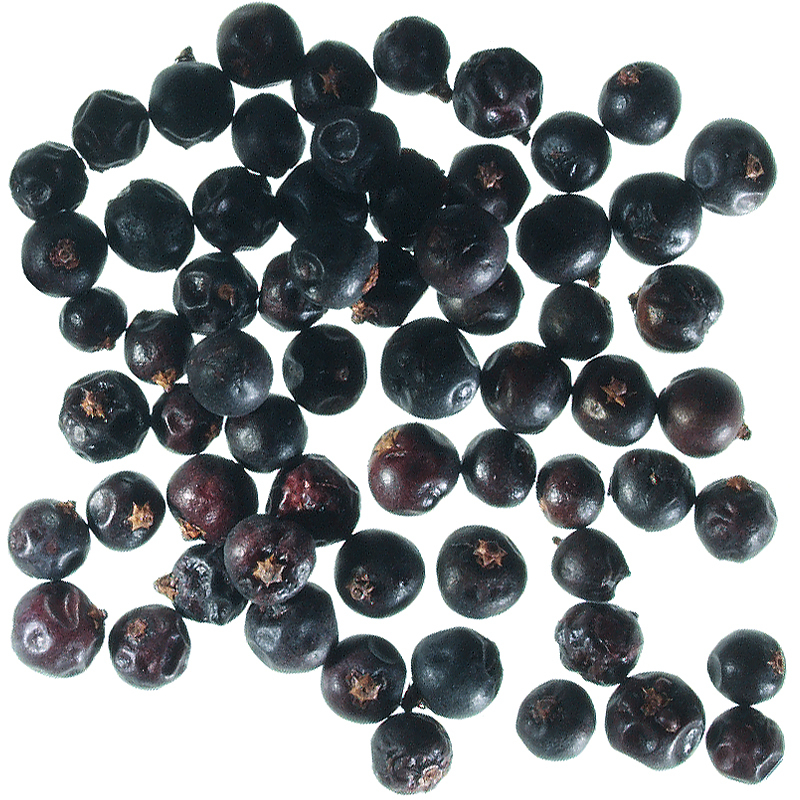 Wacholderbeeren ganz 2. Kat. EU-BIO