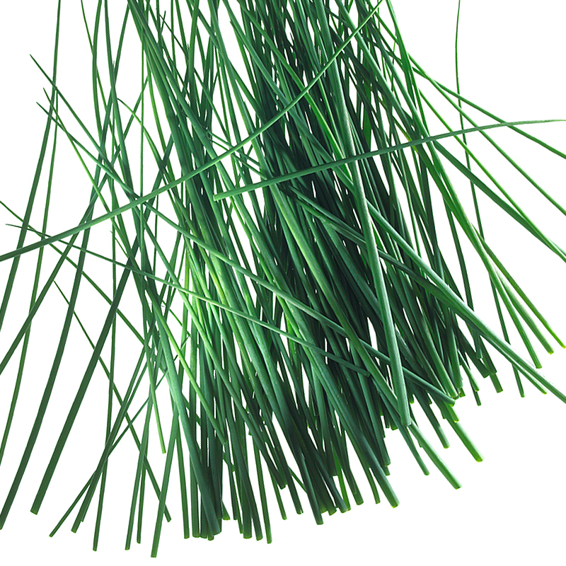 Schnittlauch Röhrchen 1-3mm